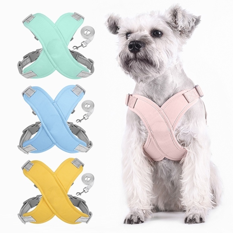 Reflektierendes Hundegeschirr  – Color Changing Outdoor Bewertung und Preis
