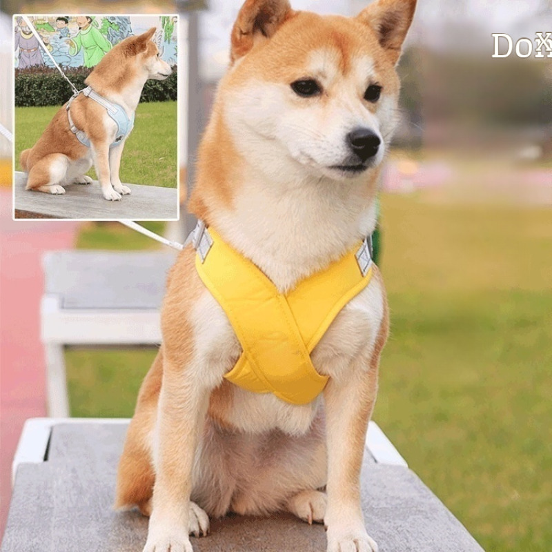 Reflektierendes Hundegeschirr  – Color Changing Outdoor Bewertung und Preis